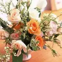 微信头像插花图案微信头像图片大全
