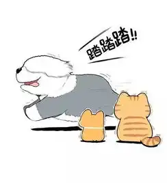 橘猫的世界你不懂带你深入了解橘猫

