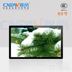65寸智能显示终端银色铝合金边框机身超薄防爆防震