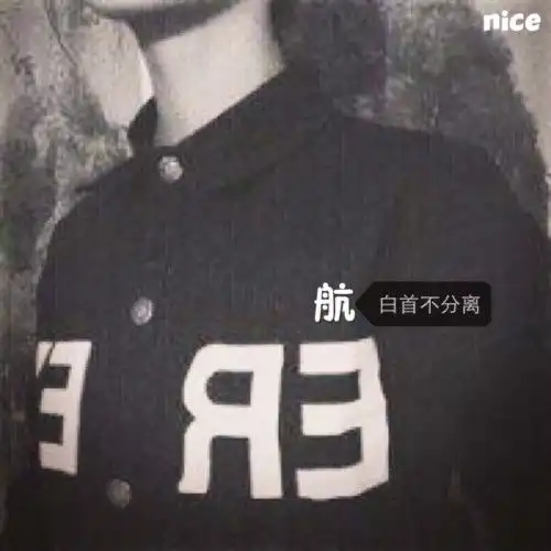 能不能弄一个航一个燕的情侣头像
