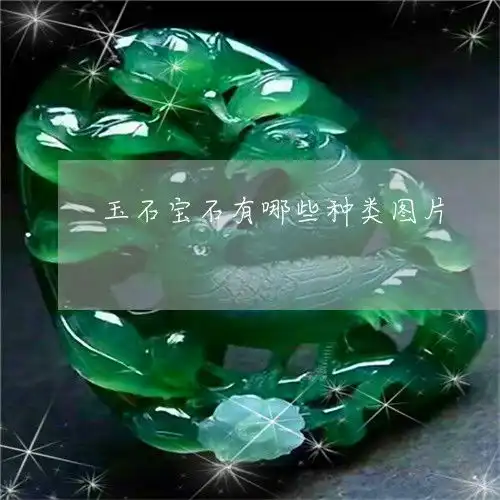 玉石宝石有哪些种类图片宝玉石分类有哪些
