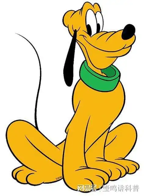 你知道动画片中的狗狗都是什么品种吗今天我们来找一找它的原型
