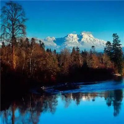 香港六和宝典最新版大全中国ios安卓通用版手机app下载
