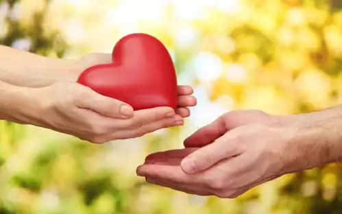 潍心愿四季有变换,心中有爱就有温暖
