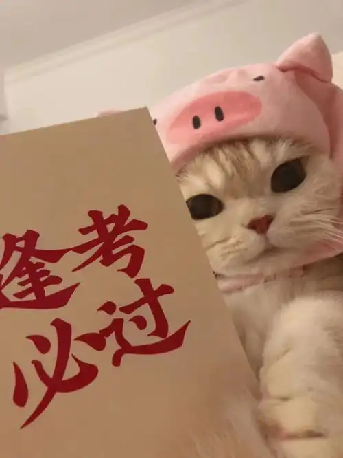wechat头像逢考必过头像
