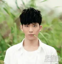 tfboys陈伟霆吴亦凡娱乐圈小鲜肉当道
