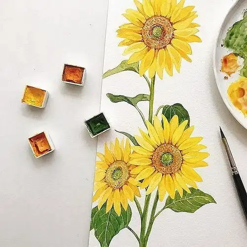 水彩素描彩铅油画,圆你一个会画画的梦
