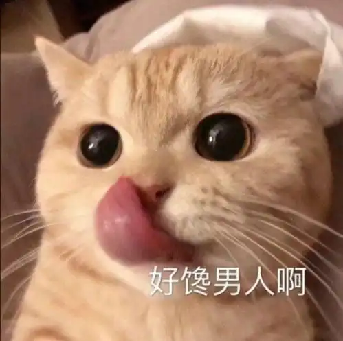 热门沙雕表情包第三期
