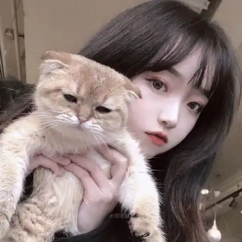 头像背景丨我先睡了你也早睡
