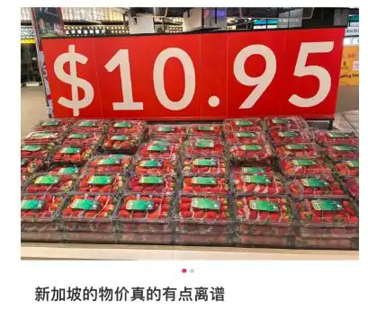 新币兑人民币汇率5.44近历史最高新加坡这6个日常开支贵上天
