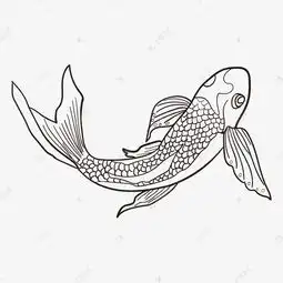 线描卡通观赏锦鲤鱼素材图片免费下载千库网
