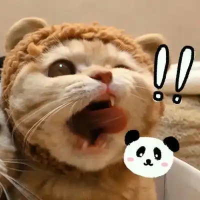 池乔爬爬可爱橘色猫猫情头自加情侣头像我要个性网
