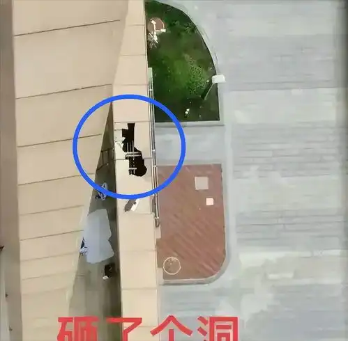 惨剧山东一30多岁男子从高楼坠下身亡,知情者讲述内幕令人惋惜

