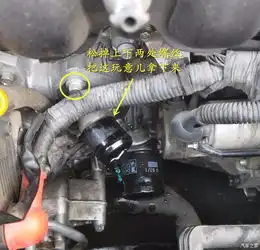 换个防冻液,再换个后备箱液压杆