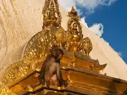 酷我酷音天下吧
