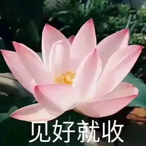 哪种运动最减肥想要瘦成一道闪电的看过来
