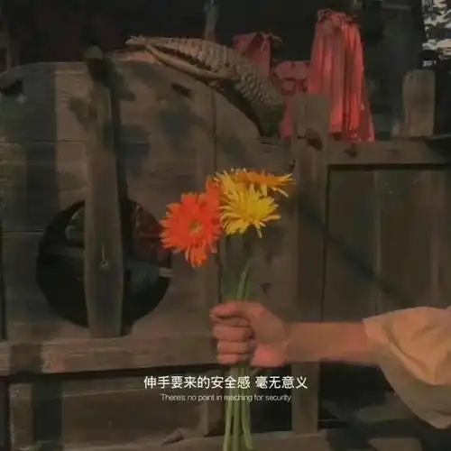 情绪文案始于心甘情愿,终于愿赌服输
