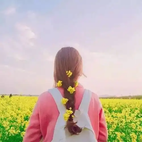 晚安情感心语晚安分享优美美图
