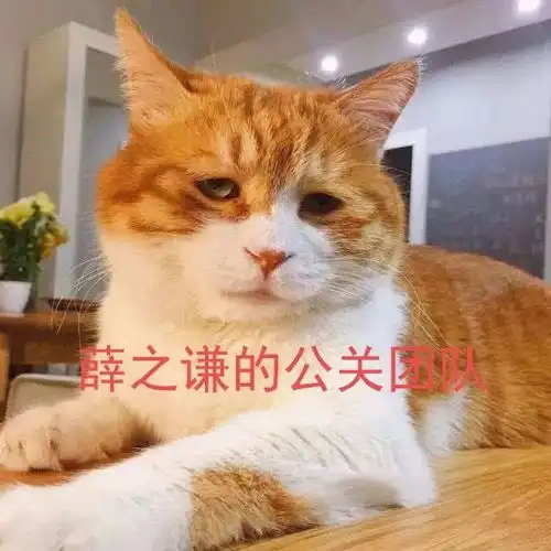 李雨桐录音文字版划重点,薛之谦渣男之名有实锤了
