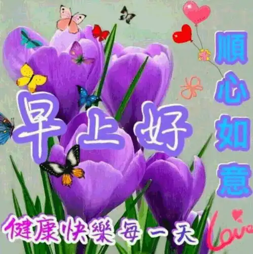最新版清早问候大家的早上好漂亮图片,早晨好问候祝福表情图片
