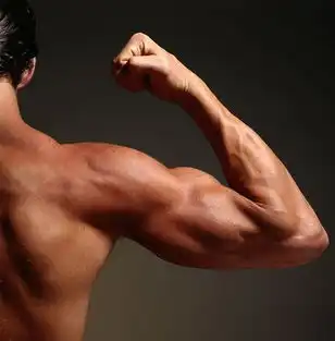 男性养生教你一眼看出长命男人组图养生保健知识网易保健品
