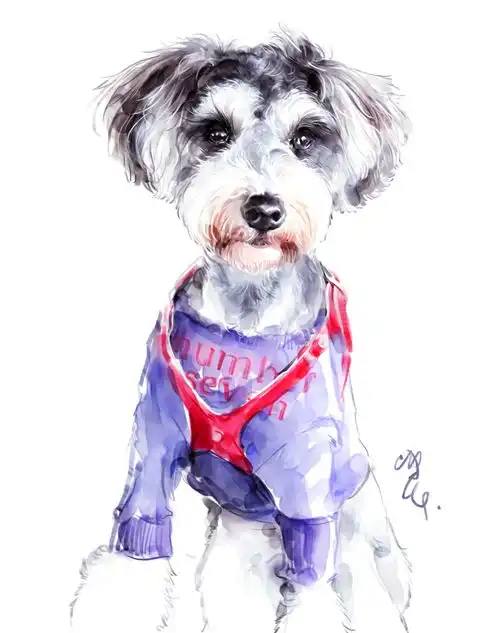 淘宝店速写爱宠狗狗猫狗汪星人喵星人猫咪可爱宠物萌萌宠宠物画像铲屎官猫粮狗粮哈士奇拉布拉多金毛泰迪柯基雪纳瑞边牧秋田柴犬博美吸猫布偶猫阿拉斯加画狗,宠物画像,狗狗画像,狗狗手绘
