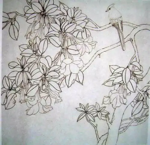 中国工笔花鸟绘画教程昙花与芭蕉
