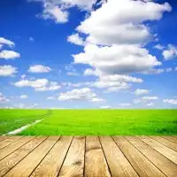 微信头像绿草地蓝天白云绿草地
