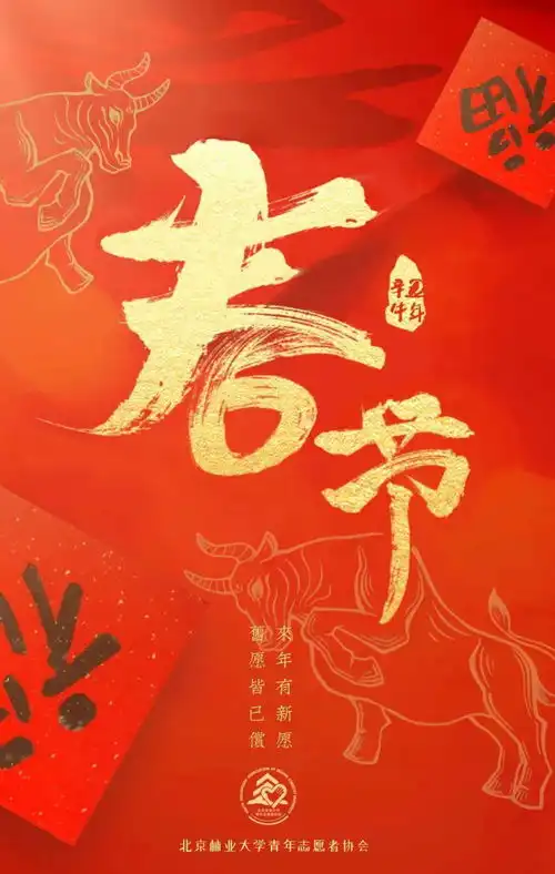 新春快乐,牛年大吉
