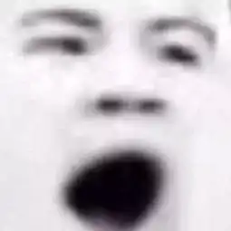 每个得五月病的人,都应该被原谅
