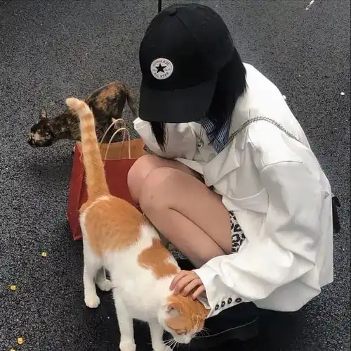 有哪些又甜又拽的女头
