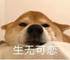 独家爸妈宠出厂日期错乱,比利时代工厂最新回应来了

