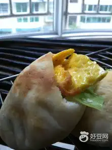 家常皮塔饼做法大全皮塔饼菜谱大全带图片好豆
