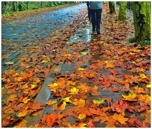 缤纷天台,岁末流彩,想不到今年的冬天还能这么美
