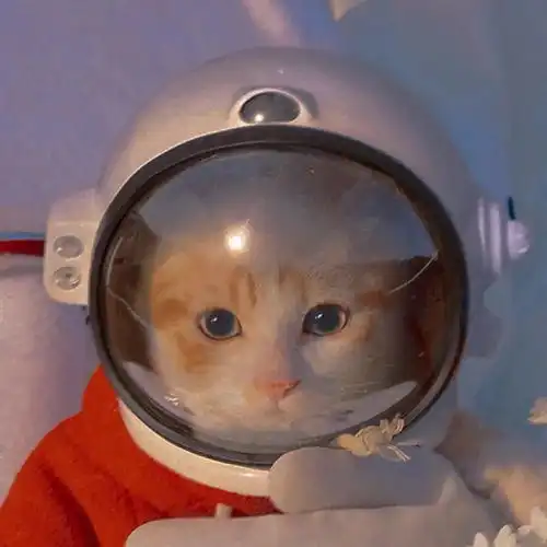 谈恋爱时,千万不要跟女朋友讲道理
