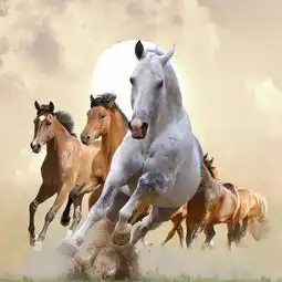 愉悦家纺私人定制系列之抱枕类定制页面图片大全邮乐官方网站
