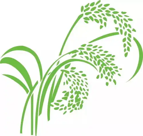水稻玉米小麦大豆绿色品种指标发布符合这些,才能算绿色品种
