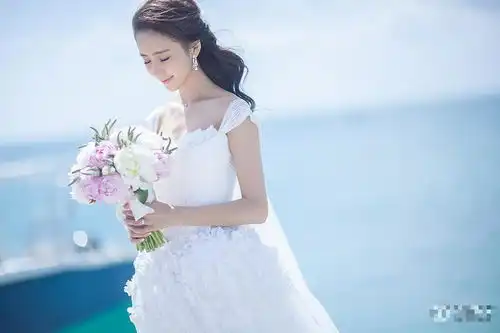 陈思诚佟丽娅海量婚纱照曝光网友赞美的窒息
