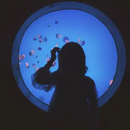 最美的遇见,是灵魂与灵魂的邂逅
