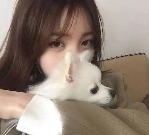 这些星座男能摸清女友的心思,很快驯服,让她别无他心
