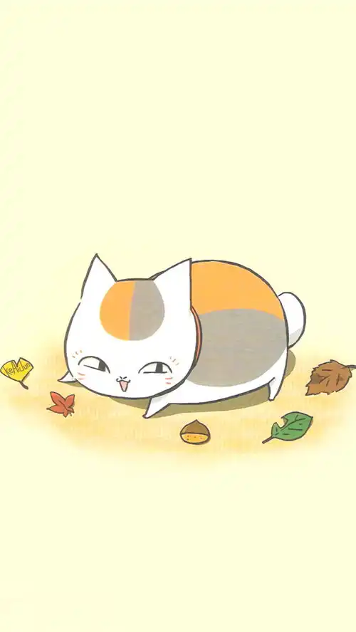 手机壁纸搞怪萌宠,可爱的猫咪老师娘口三三
