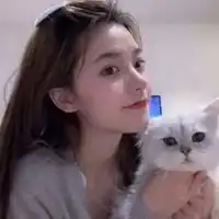 qq头像带猫的女生头像女生带猫的qq头像
