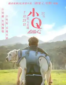 越南泰国与德非本周新片很小众看少女如何驯服一头成年狮子
