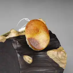 白玉籽料望子成龙
