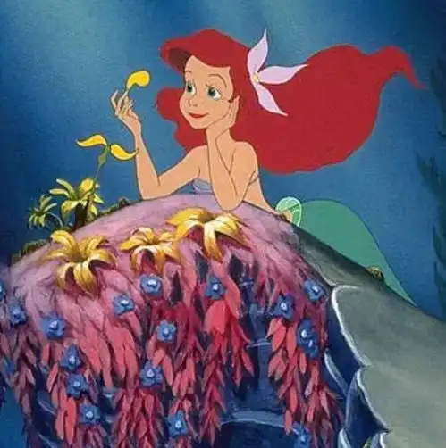 小美人鱼片场照曝光,哈雷贝利穿公主裙霸气叉腰,王子被热的不行
