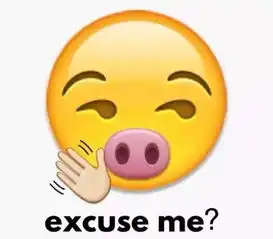 网购过最傻的东西,哈哈哈笑喷了
