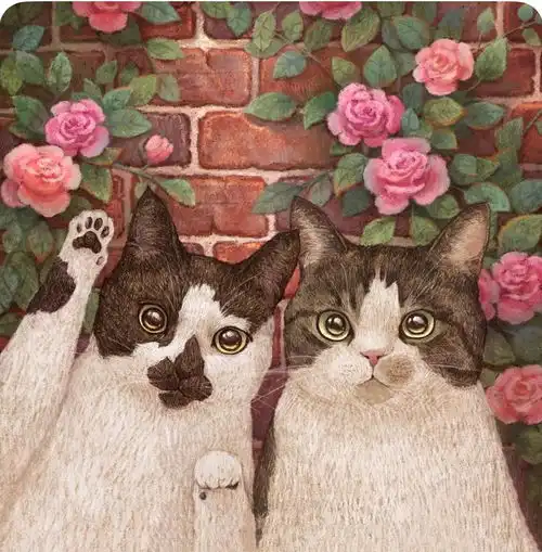 成都糖猫宿舍ω喵
