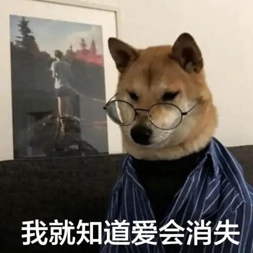 衣物
