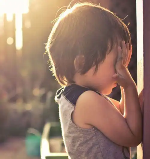 武汉设计工程师移民美国,沦为街头拾荒者,最终全家惨死于地下室
