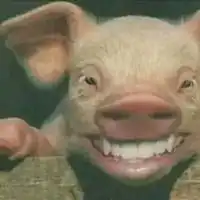 qq头像逗比沙雕
